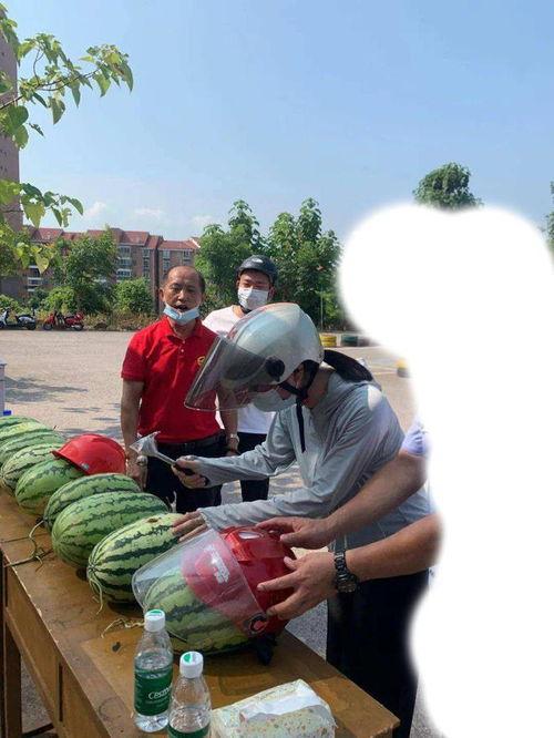 固安吃瓜最新事件爆料新闻,最新爆料揭示惊人内幕  第2张